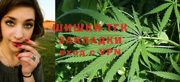 эйфоретик Арсеньев