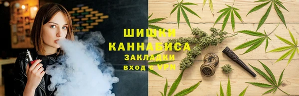 эйфоретик Арсеньев