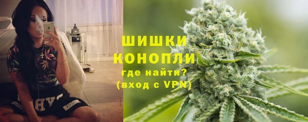 эйфоретик Арсеньев